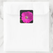 Sticker Carré fleur de pétunia rose (Sac)