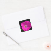Sticker Carré fleur de pétunia rose (Enveloppe)