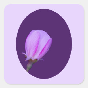 Sticker Carré Fleur de printemps rose et violet