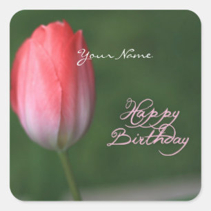 Sticker Carré fleur de tulipe rouge d'anniversaire