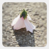 Sticker Carré Fleur d'échecs (Devant)