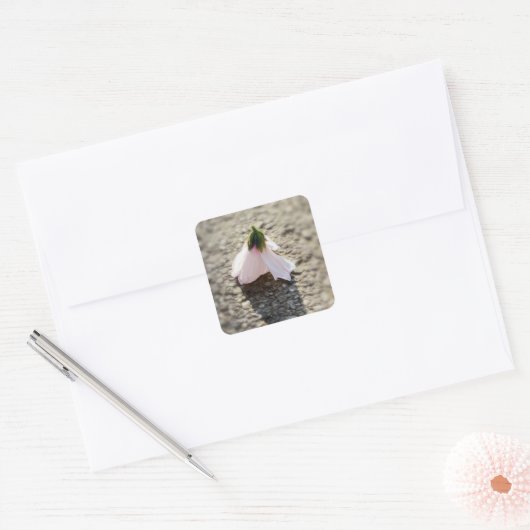 Sticker Carré Fleur d'échecs (Enveloppe)