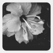 Sticker Carré Fleur d'Hibiscus (Devant)