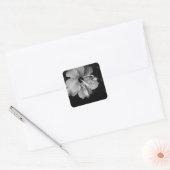 Sticker Carré Fleur d'Hibiscus (Enveloppe)