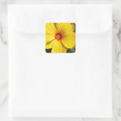 Sticker Carré Fleur d'Hibiscus jaune (Sac)