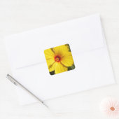 Sticker Carré Fleur d'Hibiscus jaune (Enveloppe)