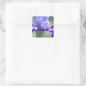 Sticker Carré Fleur d'Iris violet et bleu à haut pendage (Sac)