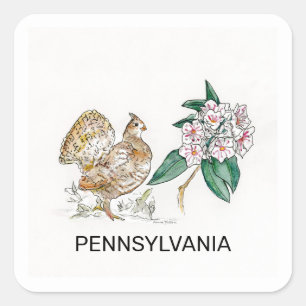 Sticker Carré Fleur d'oiseau de Pennsylvanie