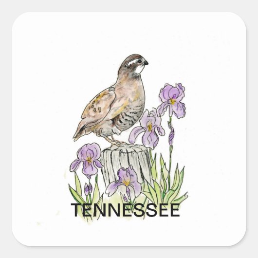 Sticker Carré Fleur d'oiseau du Tennessee (Devant)