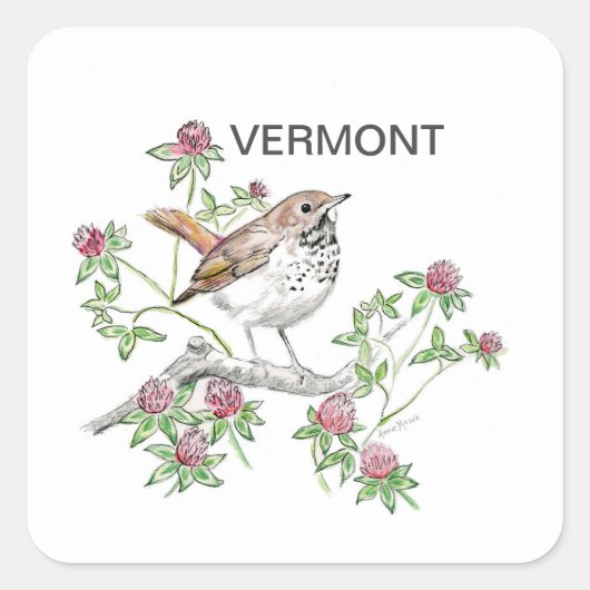 Sticker Carré Fleur d'oiseaux du Vermont (Devant)