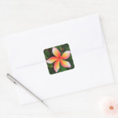 Sticker Carré Fleur Frangipani (Enveloppe)