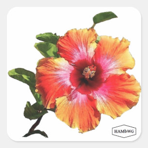 Sticker Carré Fleur Hibiscus HAMbWG