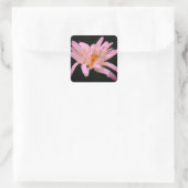 Sticker Carré Fleur marguerite blanche (Sac)