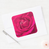 Sticker Carré Fleur rose (Enveloppe)