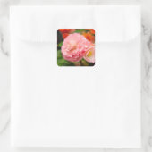 Sticker Carré Fleur rose délicate après la pluie (Sac)