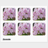 Sticker Carré Fleur rose Phlox, Photographie canadienne (Feuille)