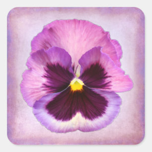 Sticker Carré Fleur rose violet
