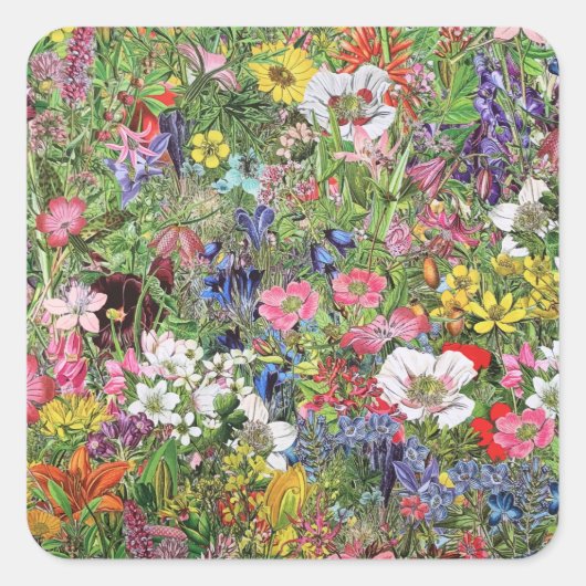 Sticker Carré Fleur sauvage de la nature en fleurs botaniques (Devant)