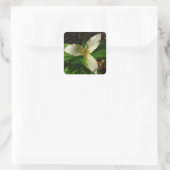 Sticker Carré Fleur sauvage de printemps blanc Trillium Flower (Sac)