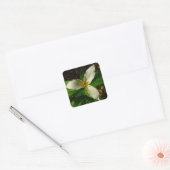 Sticker Carré Fleur sauvage de printemps blanc Trillium Flower (Enveloppe)
