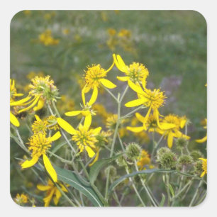Sticker Carré Fleur sauvage jaune