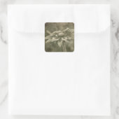 Sticker Carré Fleur Vintage (Sac)