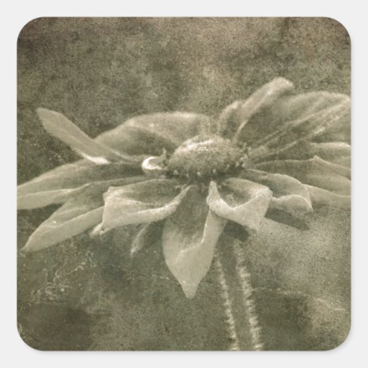 Sticker Carré Fleur Vintage (Devant)