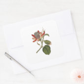 Sticker Carré Fleur vintage Passion (Enveloppe)