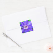 Sticker Carré Fleur violette Clematis (Enveloppe)