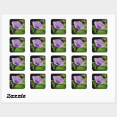 Sticker Carré Fleur violette sur Arrière - plan vert (Feuille)