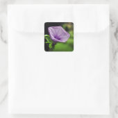 Sticker Carré Fleur violette sur Arrière - plan vert (Sac)