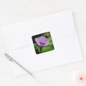 Sticker Carré Fleur violette sur Arrière - plan vert (Enveloppe)