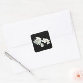 Sticker Carré Fleurs blanches (Enveloppe)