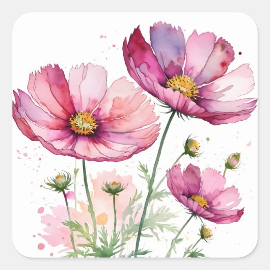 Sticker Carré Fleurs cosmos pourpres (Devant)