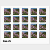 Sticker Carré Fleurs d'aster violet au Mont Rainier (Feuille)