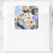 Sticker Carré Fleurs de cerisiers (Sac)