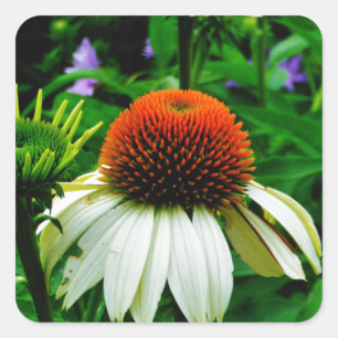 Sticker Carré Fleurs de cônes blanches et orange