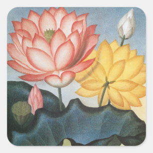 Sticker Carré Fleurs de lotus vintage, la fève égyptienne sacrée