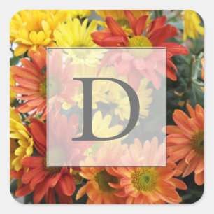 Sticker Carré Fleurs de marguerite d'automne colorées rouge, jau