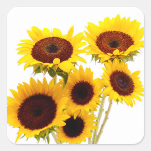 Sticker Carré Fleurs de mariage tournesol jaune floral Fête