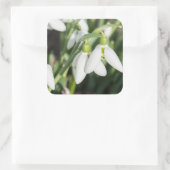 Sticker Carré Fleurs de neige (Sac)