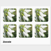 Sticker Carré Fleurs de neige (Feuille)