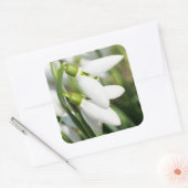Sticker Carré Fleurs de neige (Enveloppe)