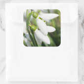 Sticker Carré Fleurs de neige (Sac)