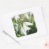 Sticker Carré Fleurs de neige (Enveloppe)