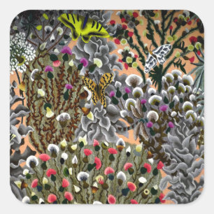 Sticker Carré Fleurs de papillon saule nature vintage illustrati