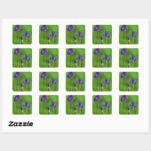 Sticker Carré Fleurs d'iris (Feuille)