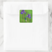 Sticker Carré Fleurs d'iris (Sac)