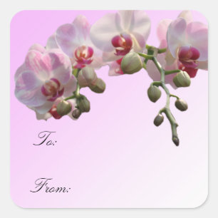 Sticker Carré fleurs d'orchidées roses, cadeau de Noël enveloppe