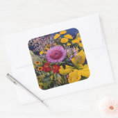 Sticker Carré Fleurs en décembre 2005 (Enveloppe)